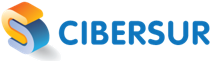 logo img